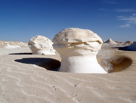 Desierto Blanco